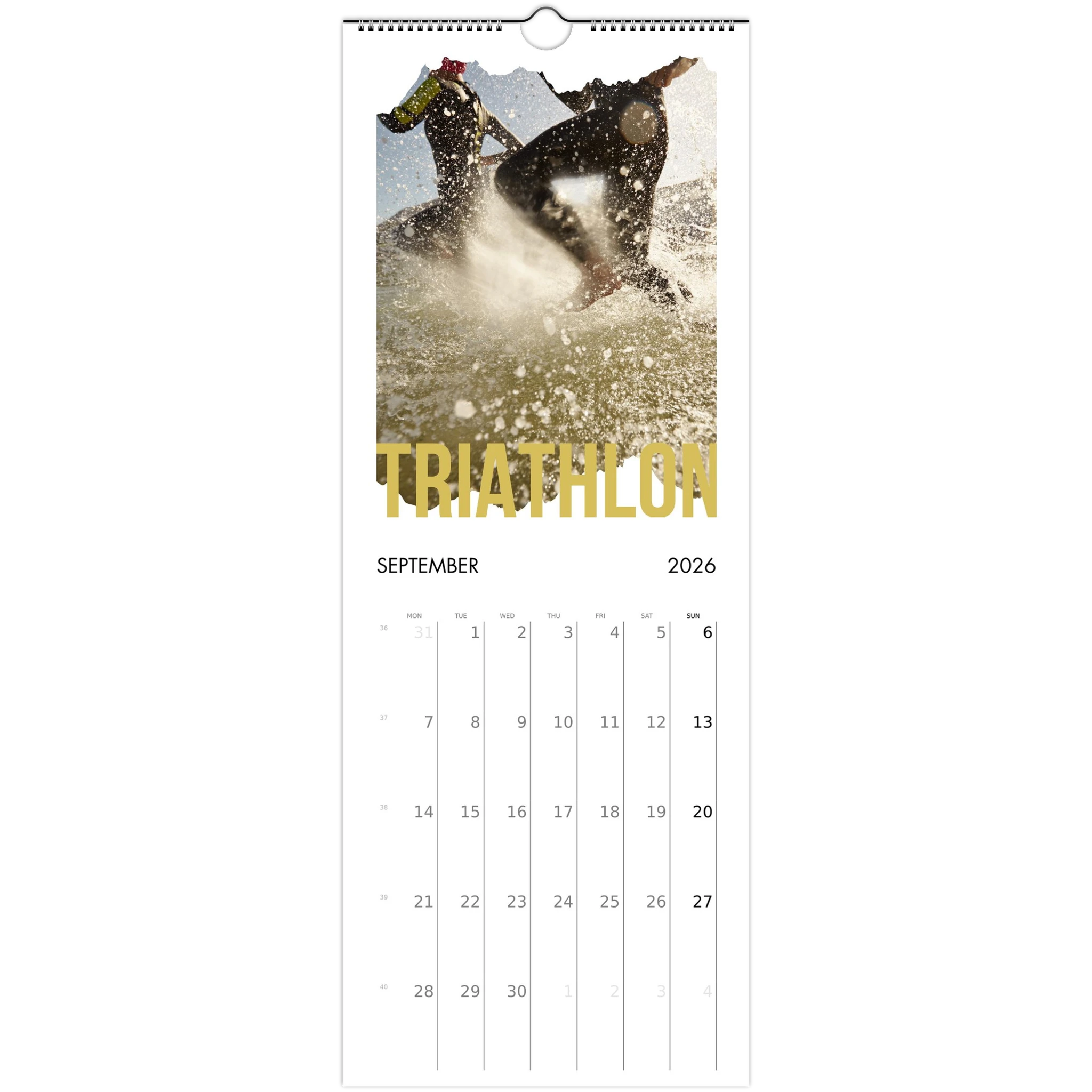 529b0981-ed7e-4464-8ab8-fff177efe25f